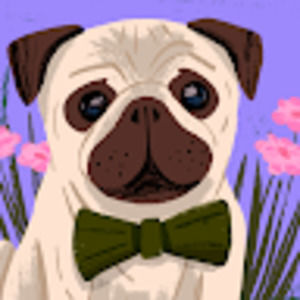 Meet your Posher, Alanis